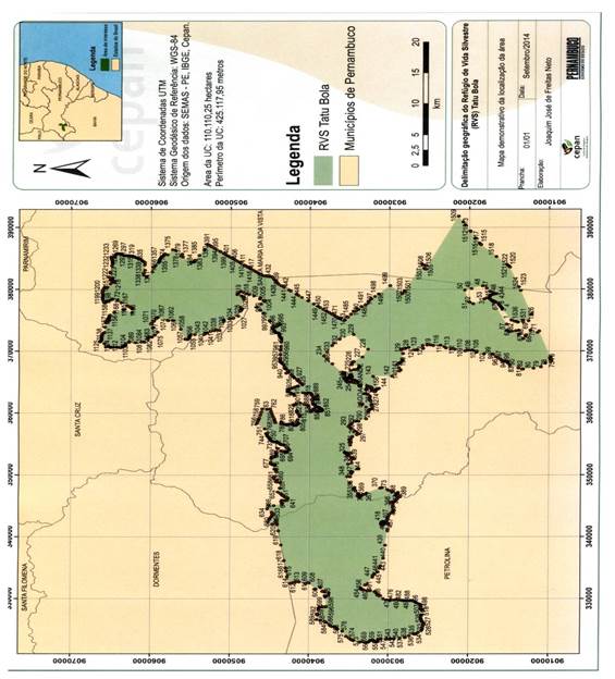 tatu bola mapa.jpg